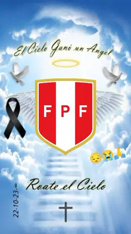 Vuela alto selección peruana 😔 #peru🇵🇪 #seleccionperuana #sinmundial #conmebol #🕊️ #😔 #lablanquiroja #seleccionperuanadefutbol #futbol⚽️ #eliminados 