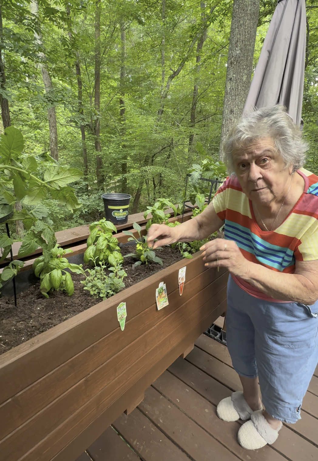 Granny is so happy with her garden! #badgranny #85yearsyoung #italiangarden 