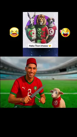 #tunisia🇹🇳 #algeria🇩🇿 #morocco🇲🇦 #france🇫🇷 #españa #italy #maroc #british #rabat #casablanca #maghreb #africa @Boufaljaja @DON @Chawki Benzehra شوقي بن زهرة @🇲🇦 Ayoub 👑 