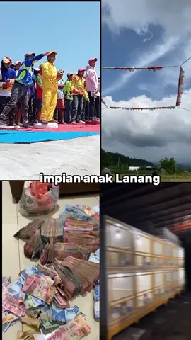 bismillah aja #merpatiku#hobimerpati#bissmillahfyp