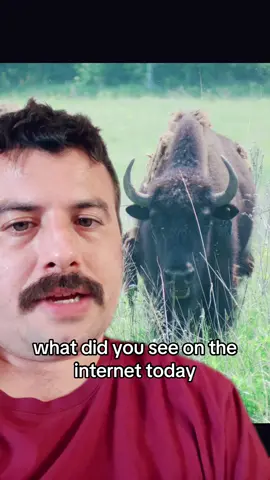 How are folks moving through this moment. Are you mindful of our new internet ? I hate it lol. Video description: Adam singing over a photo of a Bison. Then just the photo of the Bison.