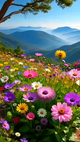 keindahan alam #keindahanalam #alamyangindah #pemandanganindah #videonature #nature #beautiful 