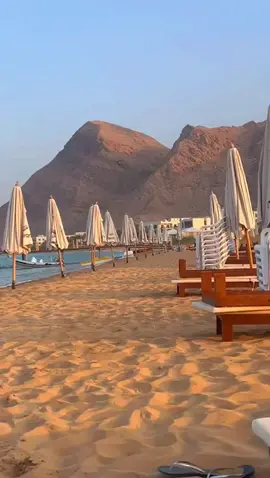 متاح دلوقتي شاليهات للايجار في قرية مورانو – العين السخنة، من أرقى القرى هناك. شاطئ رملي نضيف، منظر خرافي، وخصوصية تامة. لو بتدور على هدوء، راحة، وڤيو يشرح القلب... تعالى مورانو ✨ #العين_السخنه #مورانو_العين_السخنة من أجمل قرى #السخنة ⛱️ #العين_السخنة #شاليهات_للايجار #شاليهات_العين_السخنة #شاطئ_السخنة #قرية_مورانو #شاليهات_مفروشة #تأجير_شاليهات #سياحة_داخلية #اجازة #فسحة #مصيف #MuranoSokhna #AinSokhna #SokhnaChalets #MuranoVillage #BeachChalet #ChaletForRent #LuxuryStay #EgyptResorts #VacationRental #RedSeaStay #WeekendGetaway #SeaView #Trending #foryou #fyp #viral