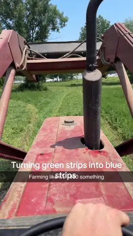 I got my own hay ground! #firstgeneration #farmer #hay #johndeere #caseih #iowa #satisfying #fyp #tiktok #bluestrips 