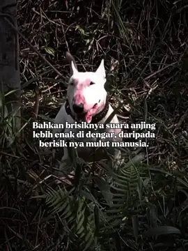 #CapCut 🤭
