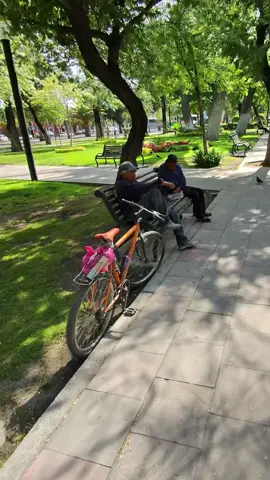 Hacer nuevos amigos es mi pasión #mexico🇲🇽 