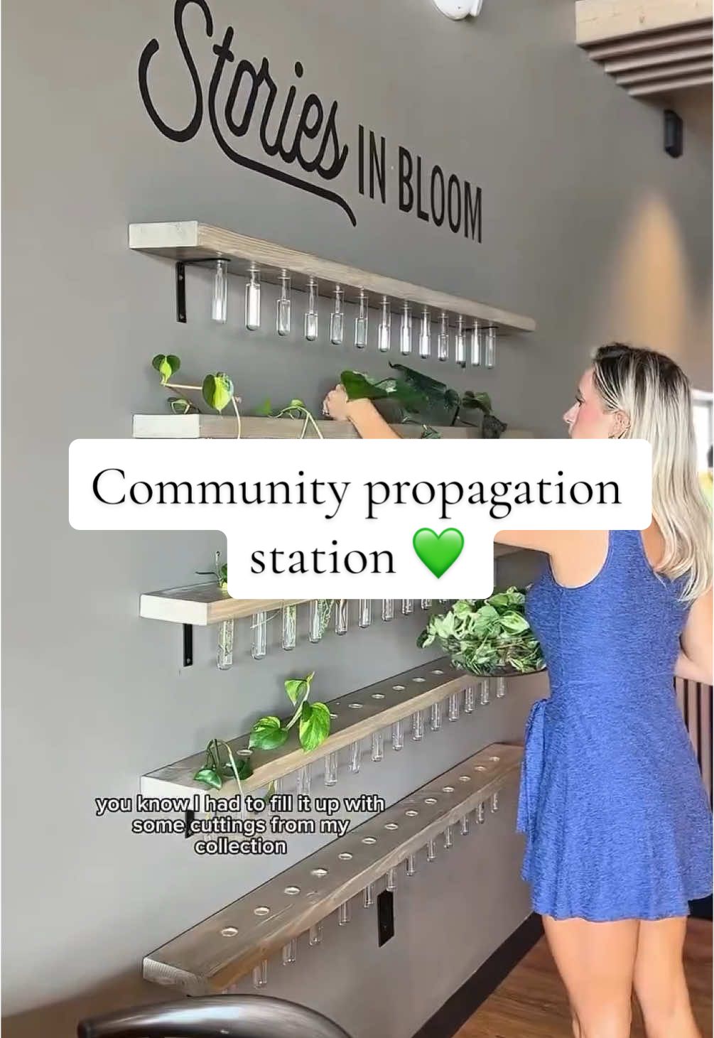 Would you like a take one/leave one propagation station at your local coffee shop?  If you’re in Omaha make sure you stop by the new @Stories Coffee Company location at 156th and Maple — don’t forget to bring a cutting to trade! 💚 #plants #houseplants #fyp #foryoupage #foryourpage #trending #Summer #plantlover #houseplantcommunity #plantcommunity #plantblogger #plantsoftiktok #plantsoftiktok #PlantTok #propagate #propagationstation #butfirstcoffee 