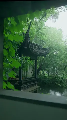 “Có những cơn mưa chẳng làm ta ướt, chỉ làm tim hơi lạnh đi một chút” #suutam #xhs #tieuhongthu #cophong #canhdeptrunghoa #canhdeptrungquoc #mua #batnhiem 