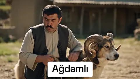 #kurban #ağdam #bayram 