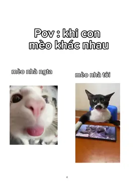 #CapCut tuổi này khó đoán quá #xuhuong #meo #memes