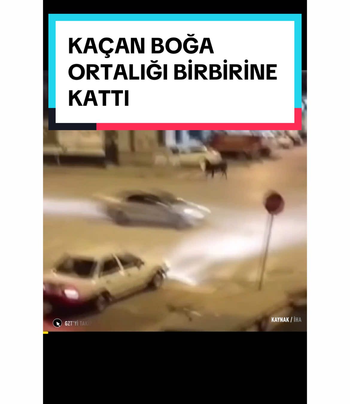 GZT'yi takip et, ilk sen öğren | Konya'da kaçan boğa ortalığı birbirine kattı #boğa #konya #haber #tiktokhaber #tiktokgündem 