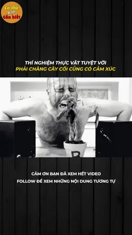 THÍ NGHIỆM THỰC VẬT TUYỆT VỜI PHẢI CHĂNG CÂY CỐI CŨNG CÓ CẢM XÚC #LearnOnTikTok #xh #khampha #khoahoc 