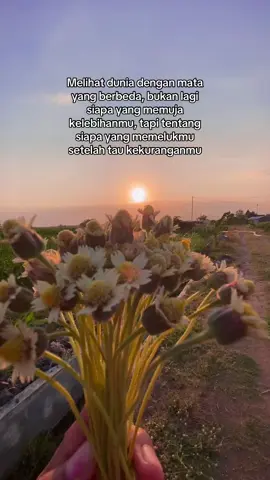 Terimakasih yang sudah selalu ada