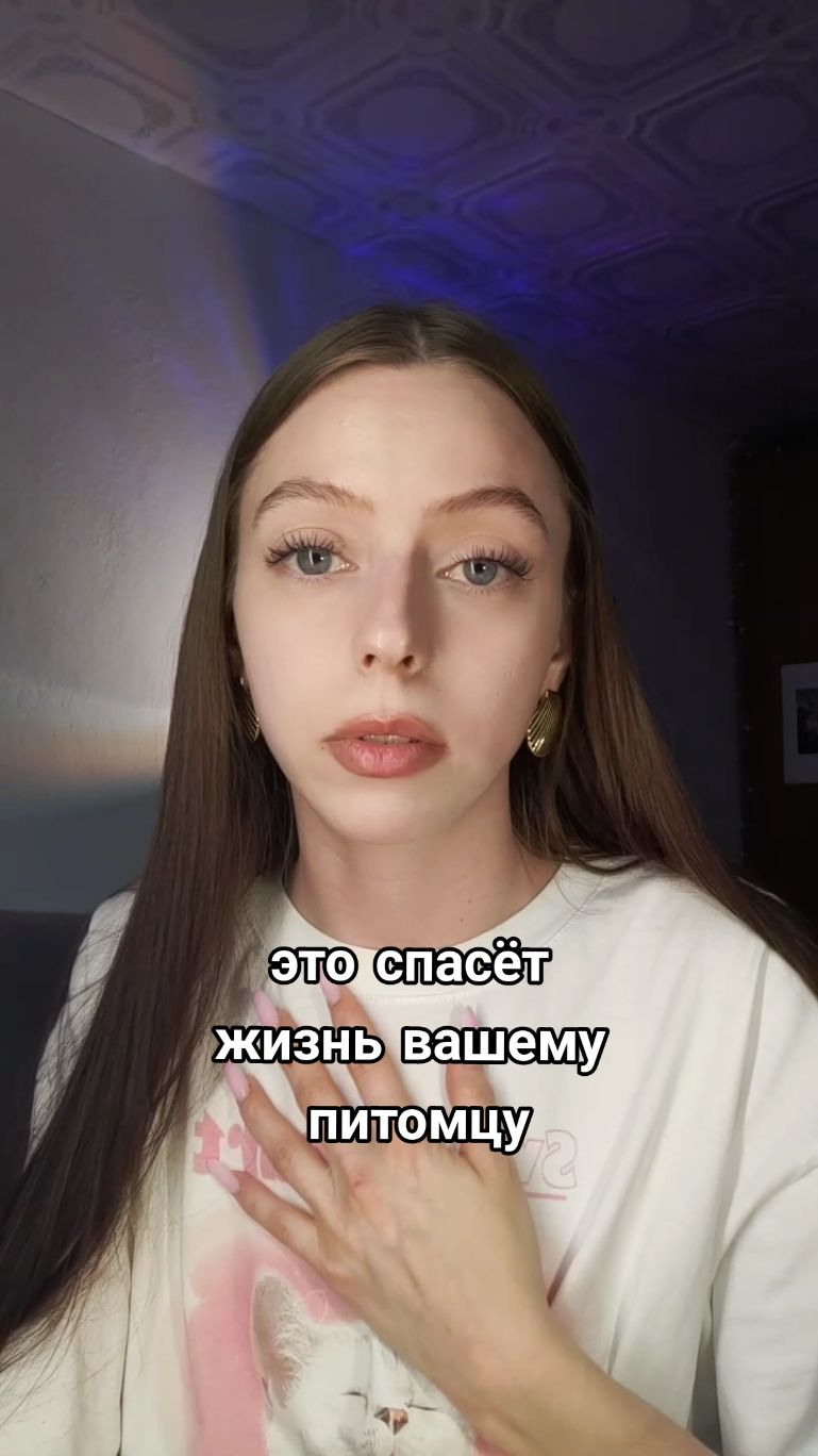 информация для всех владельцев животных! (котиков, собачек) #мочекаменнаяболезнь  #животные 