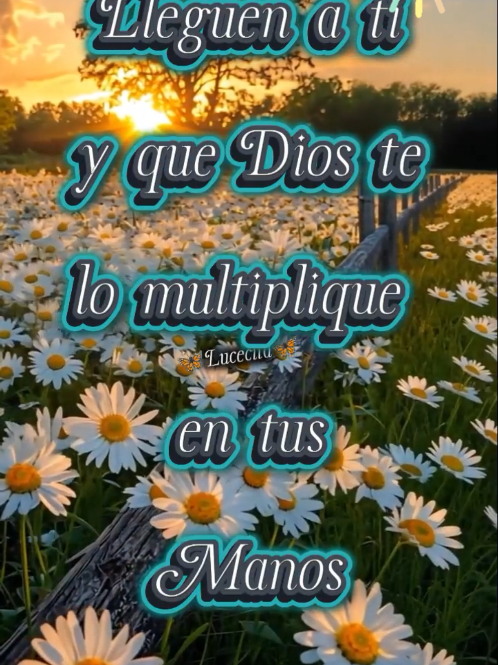 #CapCut #hoypido#buenosdias #frasesyreflexiones #capcutmotivacional #2025 #frasesdevida #frasesdelavida #motivacional #frasestiktok #frasesmotivadoras #frases  #graciasporelapoyo#reflexion #bendiciones🌹❤️🙌🏻🙌🏻🙏 #pensamiento #motivacional 