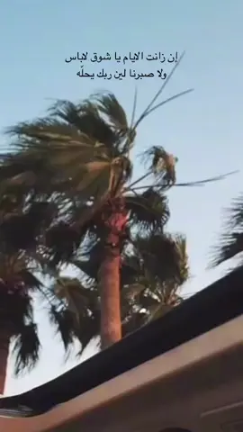 الرياض