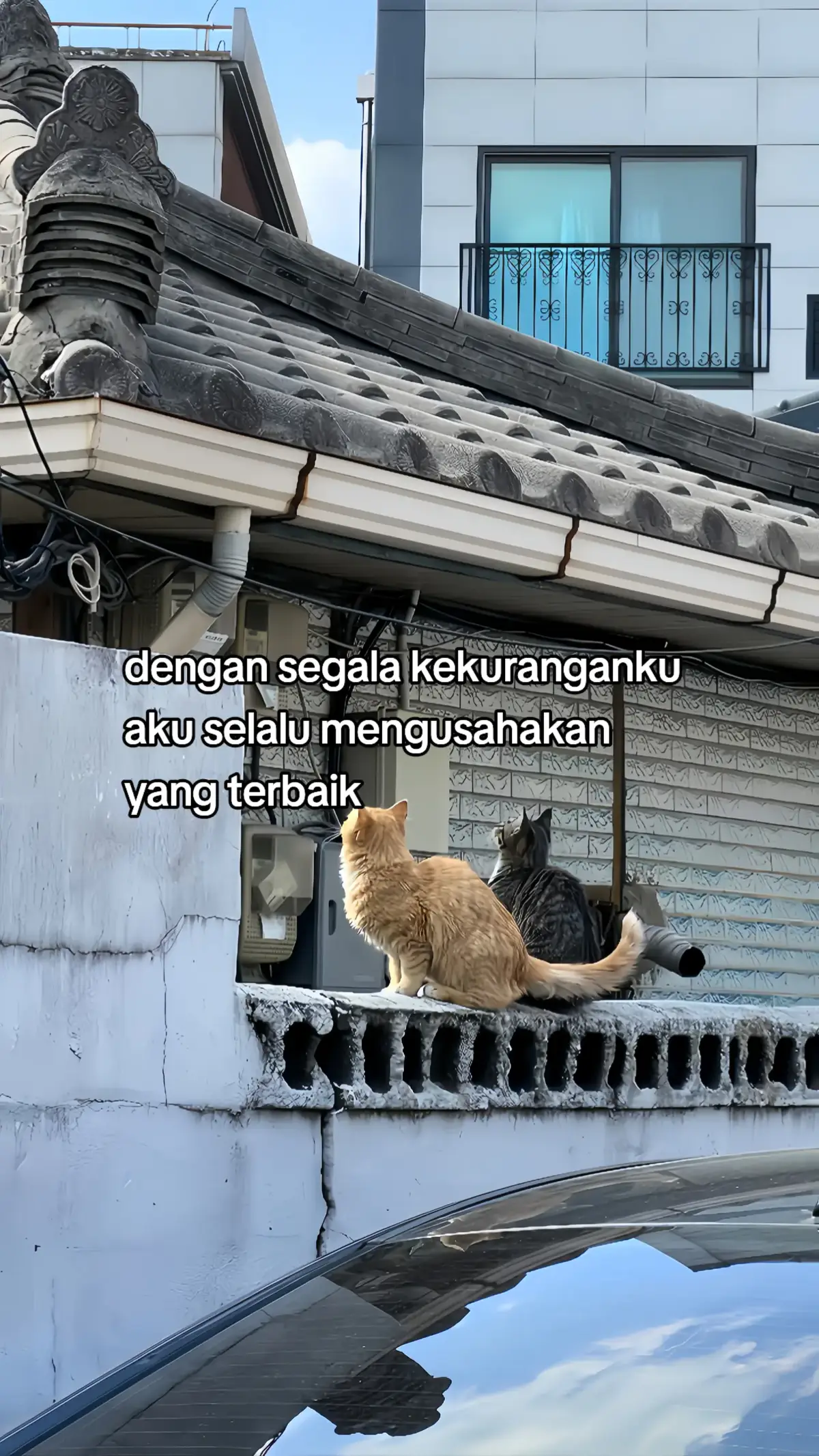 #tntangdo #sadvibes #fyp #4u 