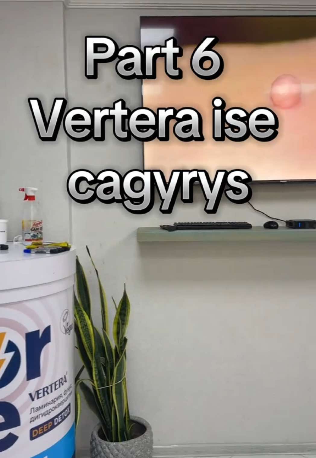Part 6 Come to VERTERA