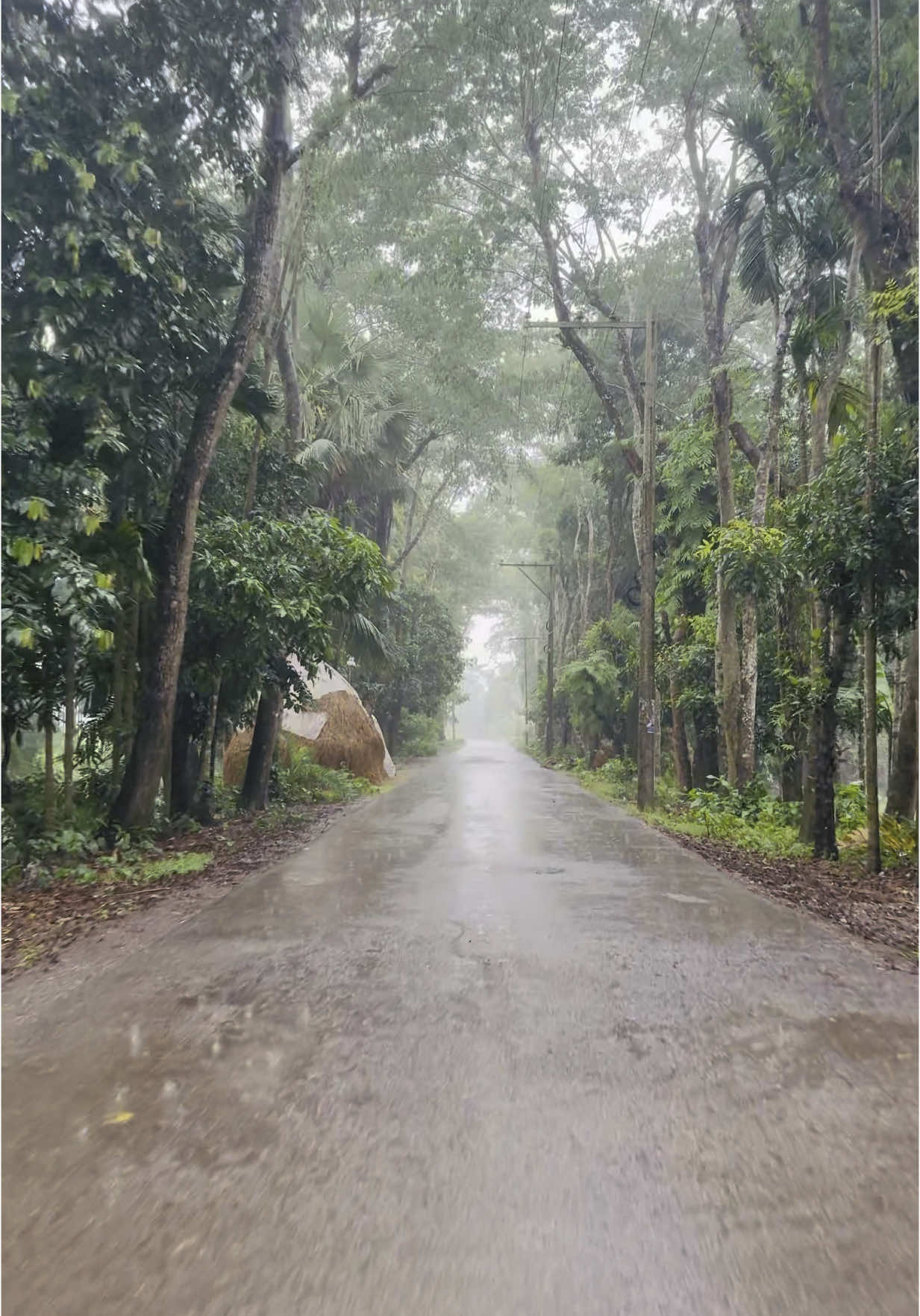 Nothing like a wild ride in heavy rain to remind you that you’re alive. Roads blurred, heart clear 🌧️😌 #tiktokbangladesh🇧🇩 #bristy🌧 #bangladesh🇧🇩 #foreyou #fyp 