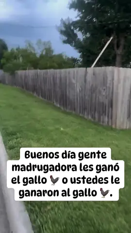 Buenos días ☀️🌞😃 hasta la victoria siempre 