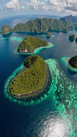 Too beautiful to be real, but this is Raja Ampat - Indonesia 🇮🇩 🐟🐠🌊 #fyp #cozyvibes #peacefulplace #nature #NatureTherapy #StressFreeZone #StressRelief #Peaceful #fy #rajaampat #rajaampat_papua #rajaampatislands #indonesia #saverajaampat 