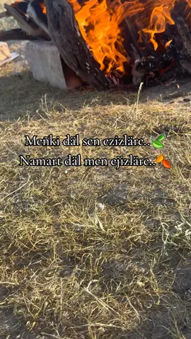 Meñki däl sen ezizläre..🍃 Namart däl men ejizläre..🍂