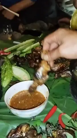cứ thế thôi#xuhuongtikto# bữa tối trong rừng#