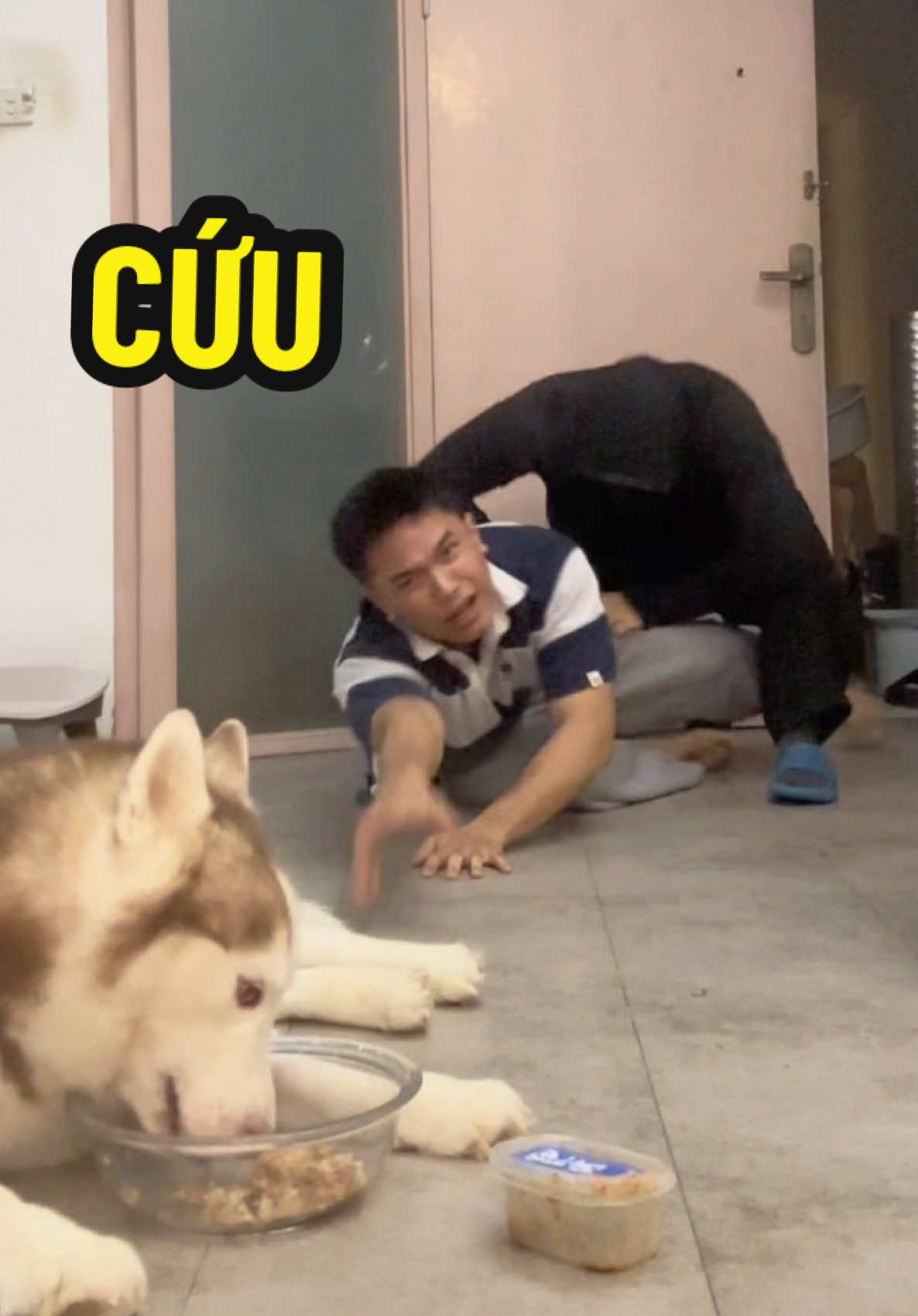 Bà ơi đi chợ mua tôi củ riềng #butin #dogsoftiktok 