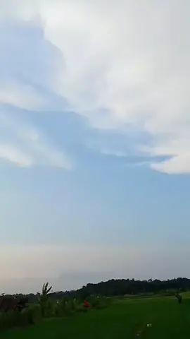 #viraltiktok #fypシ゚ #viralvideo 