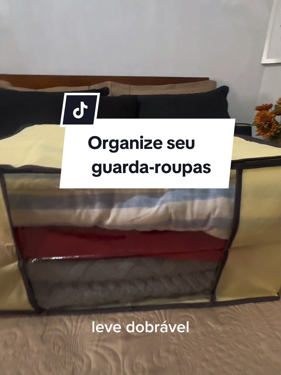 Caixa saco organizadora ✅ . . #caixaorganizadora #casa #organizacao 