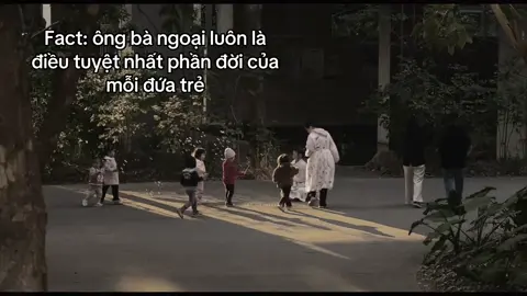 #_nhat_trung🤍 #fbtxuhuong #dntxuhuong #stthay #viral 