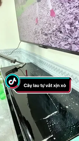 Tín đồ cho những anh chị nào,hay phải lau chùi ở nhà #caylautuvat #caylautuvatmini #review #bogauuriviu #xh #xuhuong 