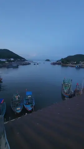 Cảnh đoàn thuyền GX cập bến lúc 5h00 sáng. Anh em Đoàn thuyền  đã trải qua một đêm dài mệt nhọc trên biển, giờ là lúc đem tôm cá về bán và nghỉ ngơi sau một đêm dài mệt nhọc... lúc anh được nghỉ lại là lúc tôi lên lên mái nhà để làm việc.  Tạ ơn Chúa vì đã ban cho giáo xứ chúng con luôn được mùa màng bội thu và bình an trong tình yêu của Ngài.