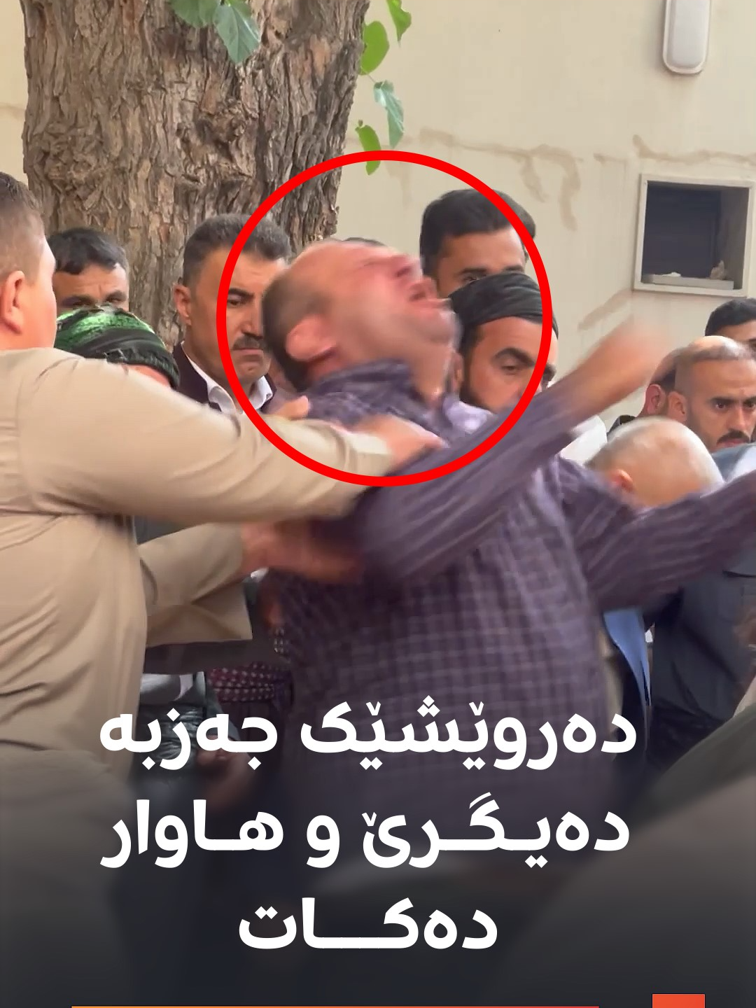 ببینە ئەو دەروێشە چۆن حاڵی لێدێت و جەزبە دەیگرێت و هاوار دەکات ئەم دیمەنانە عەلی غازی تۆماری کردوون، زیکر و حاڵی دەروێشانە لە تەکیەی شێخ عەبدولعەزیز گەیلانی بۆ 