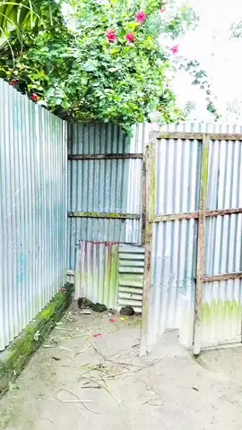 তুই বাপের সাতে মজা করিস তোর এতো সাহোজ দেছে কিড়া🤣#foryou #funny 