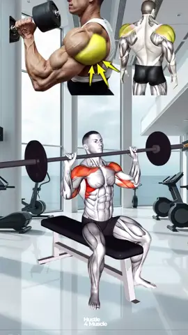 Building boulders shoulders? Focus on all 3 heads: front (anterior), side (lateral) and rear (posterior) delts. 💪😉 #Shoulders #workout #Fitness #hustle4muscle #fyp #viral #gym #biceps 