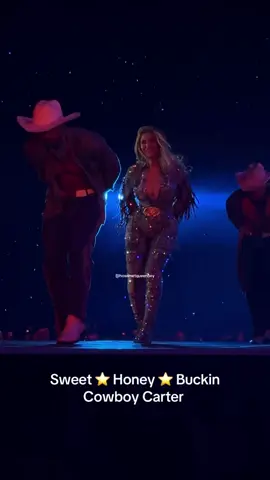 One of my favorite dances from the Cowboy Carter Tour during Shaboozey’s verse on Sweet Honey Buckin! Hiiii Darius 😍 @DariusHickman ⭐️ #beyonce #fyp #sweethoneybuckin #queenbey #cowboycarter #dance #concert #fypシ 