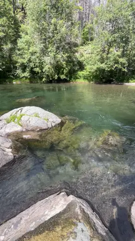 Would you swim here?