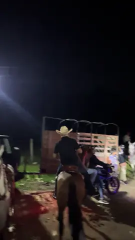 #parativiral #hastaamanecer #cabalgatas #caballistasdecorazon 