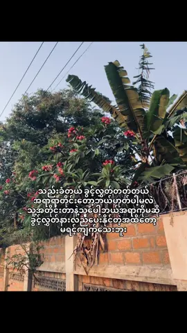 #fypシ゚ #fypage #fyppppppppppppppppppppppp #စာသားcrd 