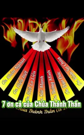 Bảy ơn Chúa Thánh Thần, còn gọi là các hồng ân, là các sức mạnh Chúa ban cho chúng ta để giúp chúng ta sống một cuộc sống đạo đức và hoàn thiện hơn. Hôm nay lễ chúa thánh thần hiện xuống. Chúc mọi người. Tràn đầy ơn của thiên chúa. Amen