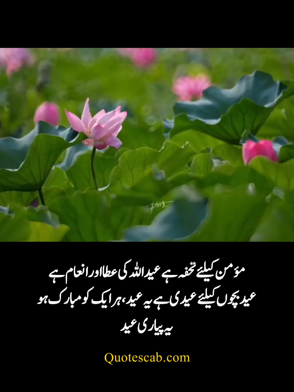Eid UL Adha Morning Mubarak Quotes in Urdu 🥰