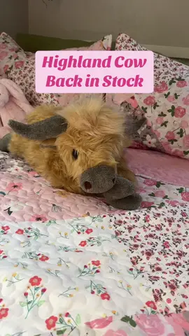 The highland cow is finally back in stock! Get one before they’re gone!  #TiktokShopUnboxing #tiktokshopcreatorpicks #dealsforyoudays #tiktokshopsummerturnup #weighted #weightedblanket #stuffedanimals #stuffies #highlandcow #farmtok #cow #comfort 