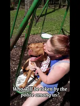 #CapCut I thought this was gonna be cute but it jump scared me so fast #foryou #dogsoftiktok 