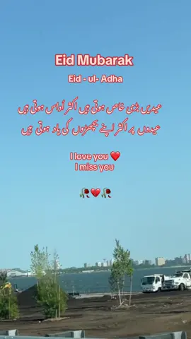 🇺🇸💞🇵🇰