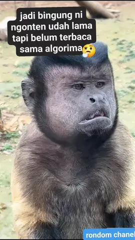 jangan di putar putar nanti jadi ikutan bingung🤣 #fyp #reels #vod #jangkauanluas  #algoritma #viral #rondomchanel  #semuaorang #lucu 