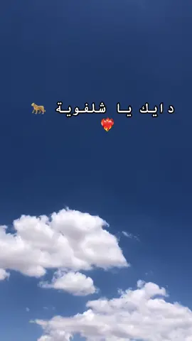 #شعب_الصيني_ماله_حل😂😂 #chlfawa__wlhalawa🔥🤙❤️💪 #الجزائر🇩🇿 #عزدين__شلفي__ربي_يرحمو #الدنياومافيها💔💔 