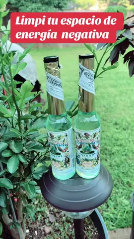 Agua florida para limpiar malas energías. Si te sientes cargado limpia con un algodón. Tus cerebro manos  en las cienes #agua espiritual# agua florida#tarot##tiktokshpo#espiritualidad##baños espirituales#everything Angelique