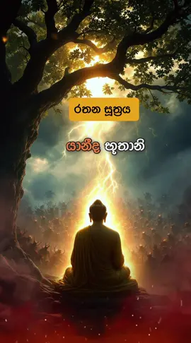 රතන සූත්‍රය පුලුවන් තරන් සජ්ජායනා කරන්න. 🙏🙏🙏, ඔබේ මනස බලවත් වේවි. ඔබගේ සියලු කටයුතු සාර්තකව කරගැනීමට ආශිර්වාදය ලැබේවි. #බුදුසසුන #නිවන්_මග_සොයා #බුදුදහම #Buddhism #ධර්මය #රතනසූත්‍රය 