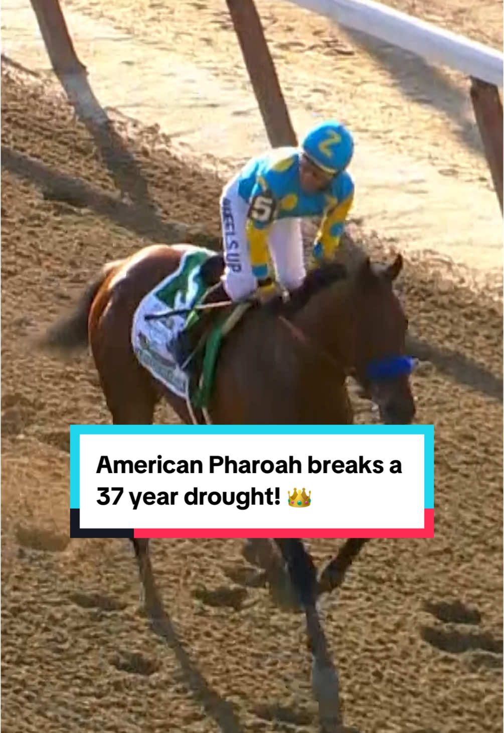 “The 37-year wait is over! American Pharoah is finally the one!” 👑 #KentuckyDerby #Replay #History #Crown #Summer @NYRA 